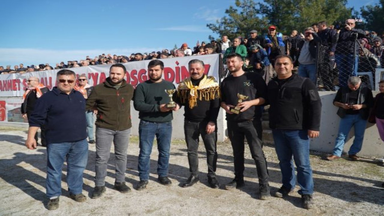 BAYRAMİÇ, SON 20 YILIN EN RENKLİ DEVE GÜREŞİ FESTİVALİNE EV SAHİPLİĞİ YAPTI