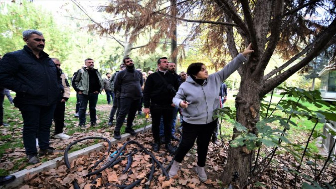 YEŞİL BORNOVA’DA DAHA ESTETİK GÖRÜNÜM İÇİN BUDAMA EĞİTİMİ