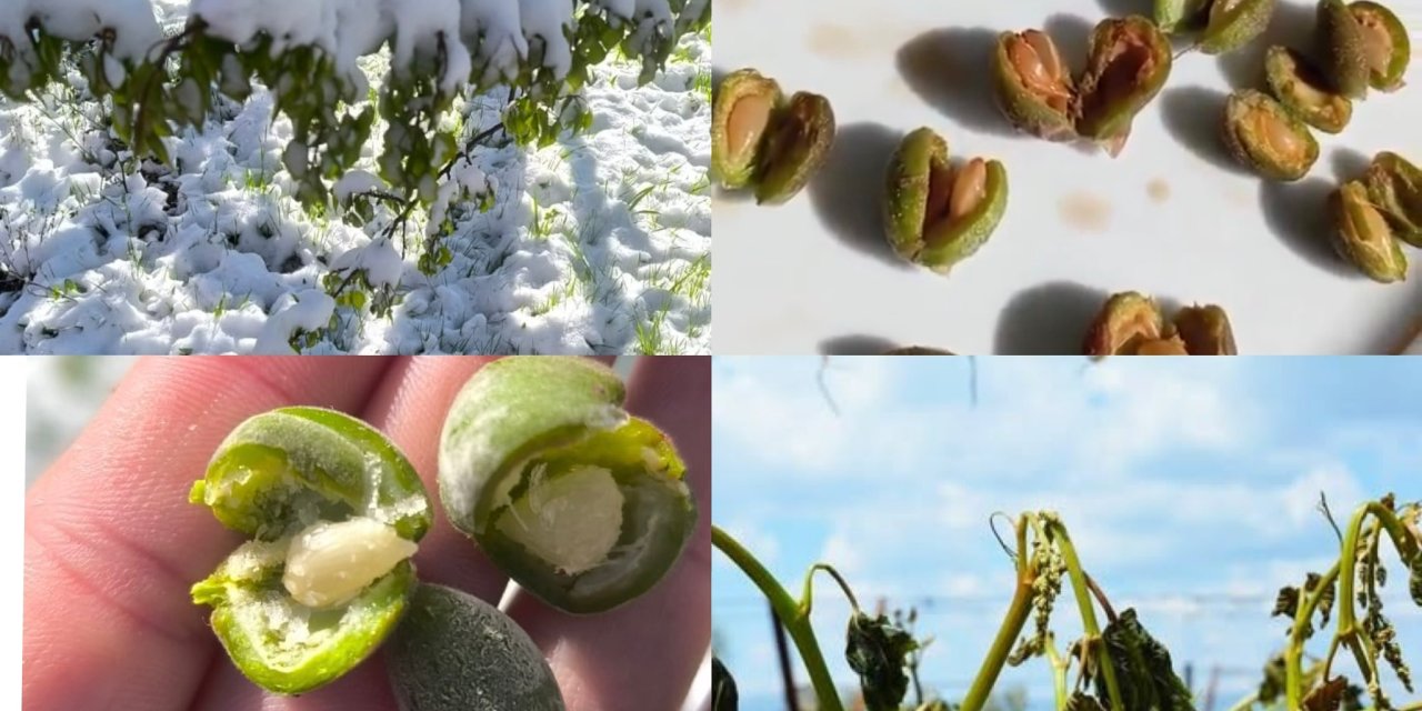 Karadeniz, Malatya, Konya, Niğde, Ege! Görenler Manzaraya İnanamadı!